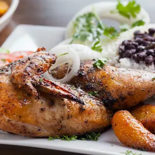 Pollo